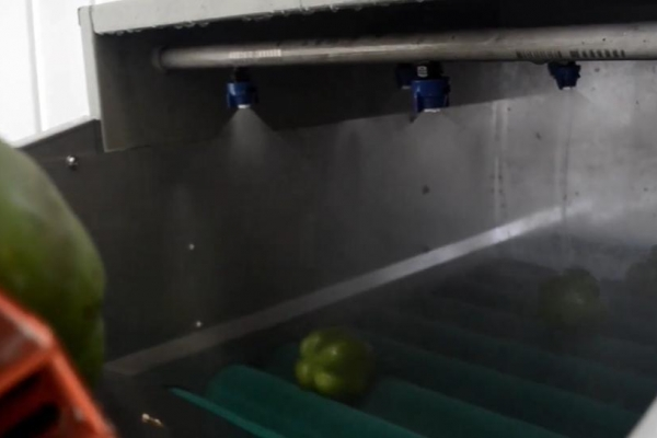 Máy trục cước phẳng