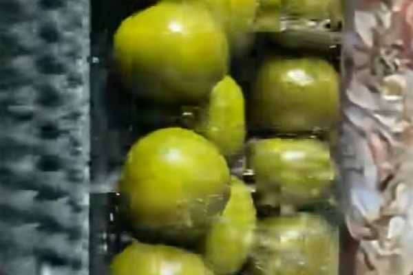 Máy trục cước chữ U