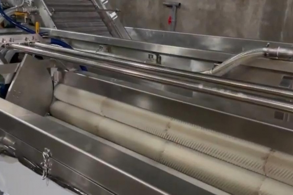 Hệ thống dây chuyền rửa củ quả